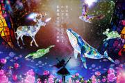 「ALICE IN WONDER WALL」LP（イメージ）