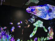 ALICE IN WONDER WALL_SEA