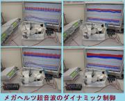 IMG_7194b